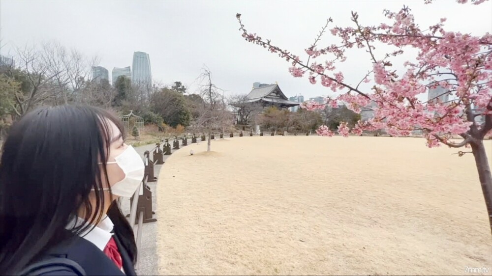 FC2-PPV-2823161 那个国民女星【盖特◯】类似的美少女！ ！！ ] 丰富的阴道暨射向一个充满透明度的正统美少女。 FC2-PPV-2823161