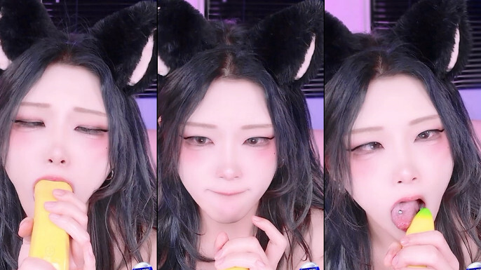 KBJ-24122659 kbj24122659_twingo1125_20241101 - Twingo1125