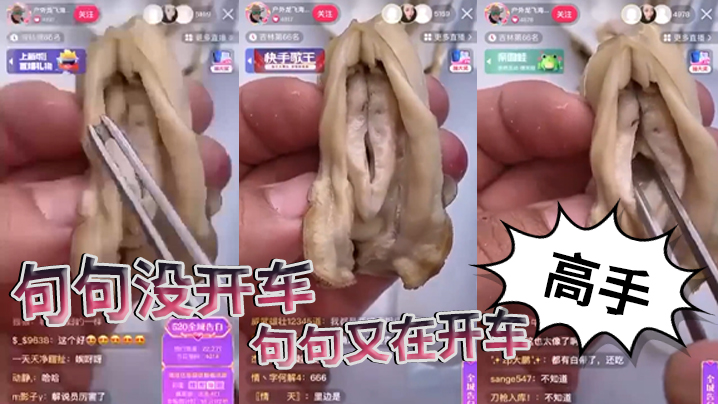 句句没开车句句又在开车高手