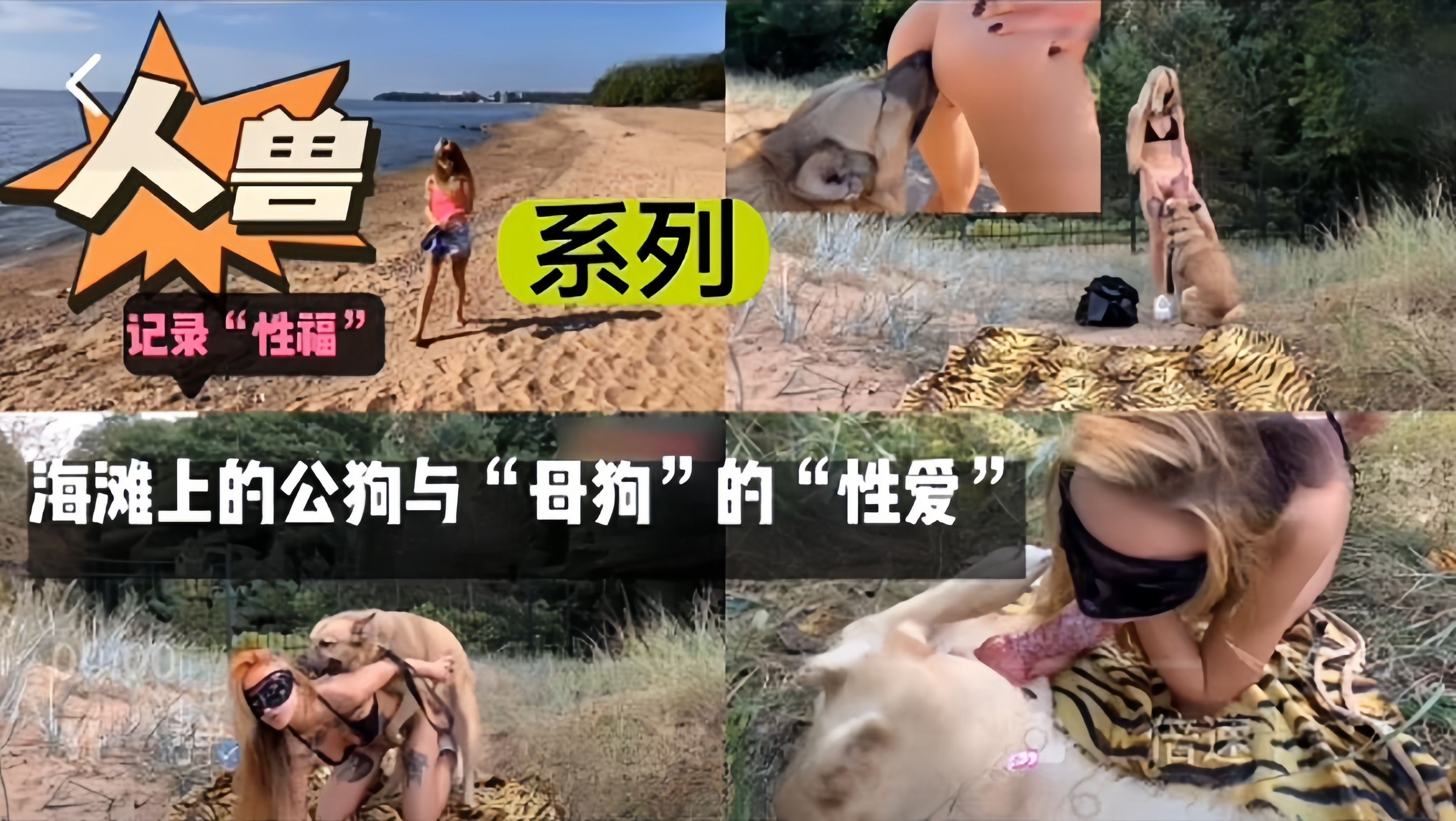 人兽系列- 海滩上的公狗与母狗的‘性爱’